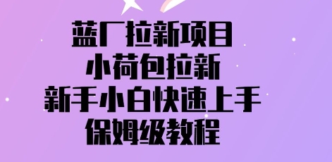 蓝厂拉新项目，小荷包拉新，新手小白快速上手，保姆级教程